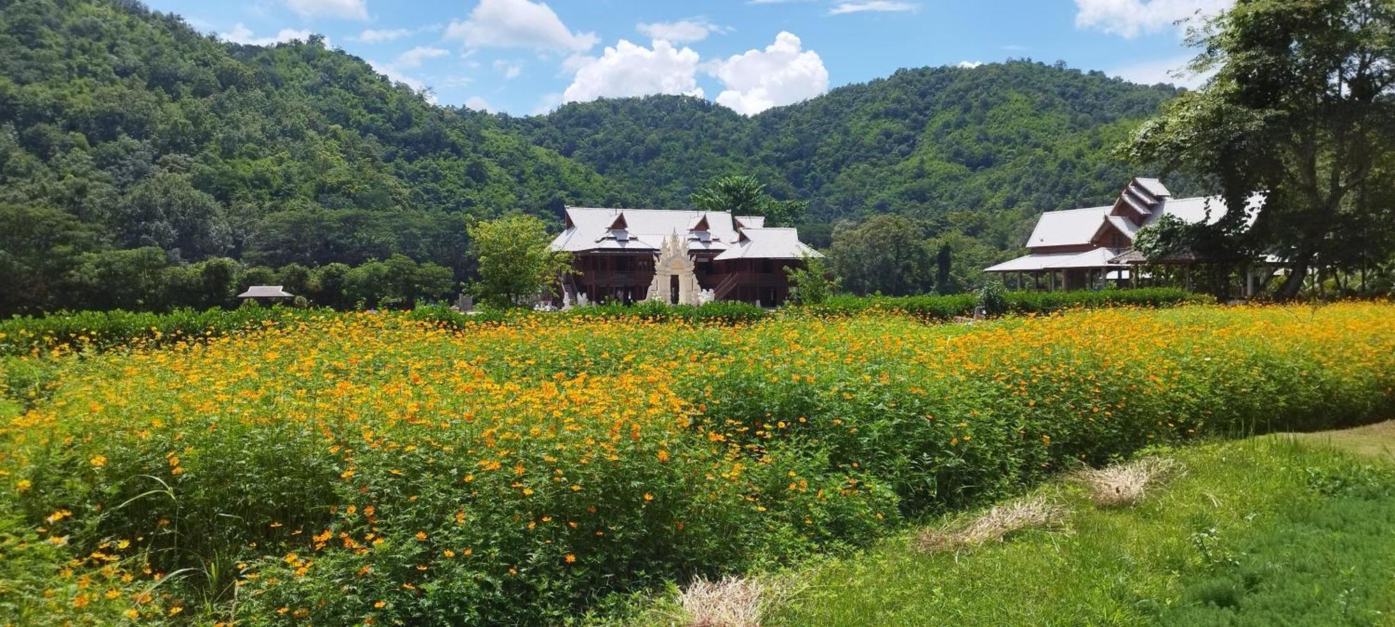 La Villa De Madame Su Chiang Mai Extérieur photo